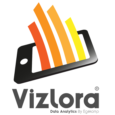Vizlora Logo
